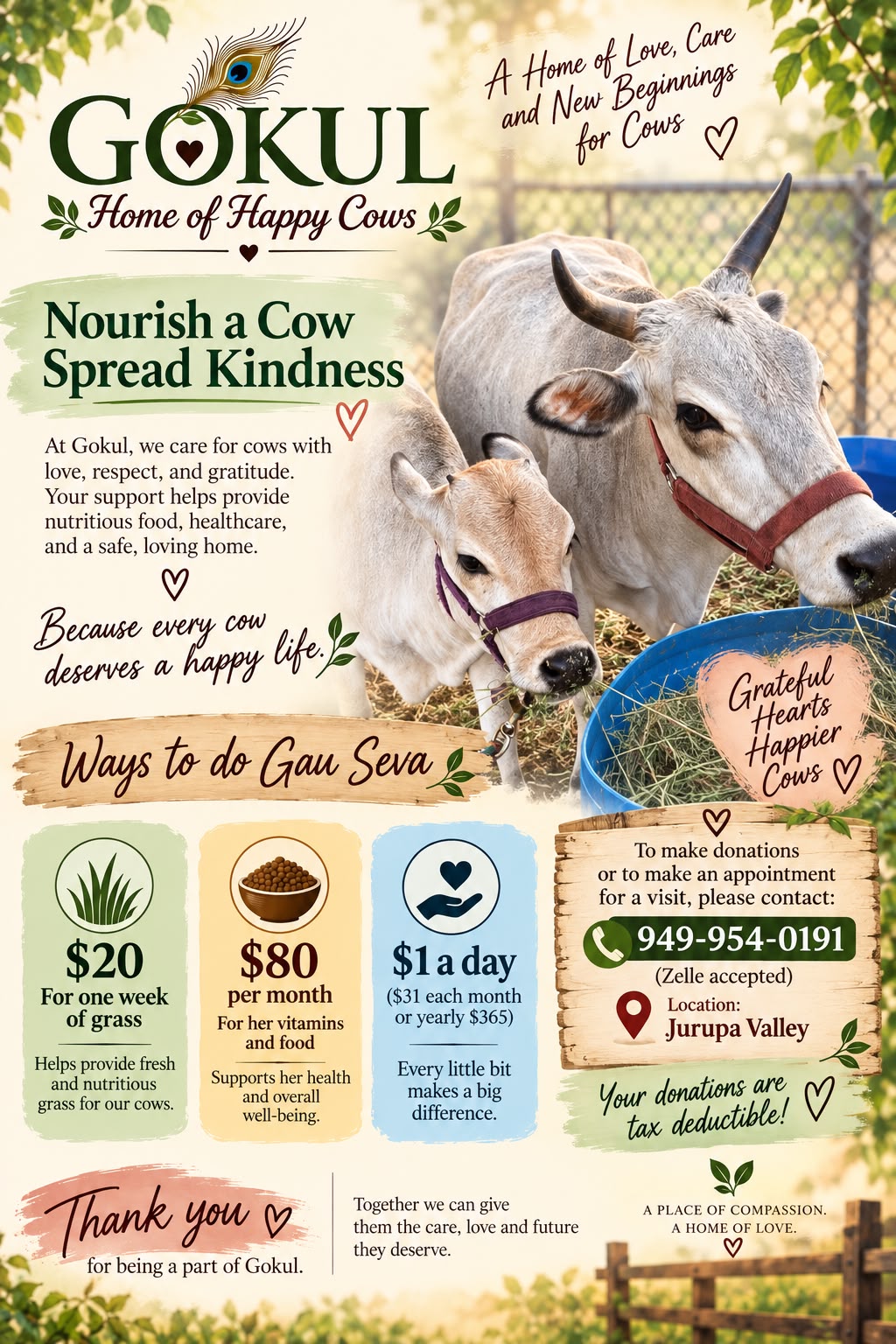 Gokul Cow Sanctuary flyer showing cows and ways to support their care